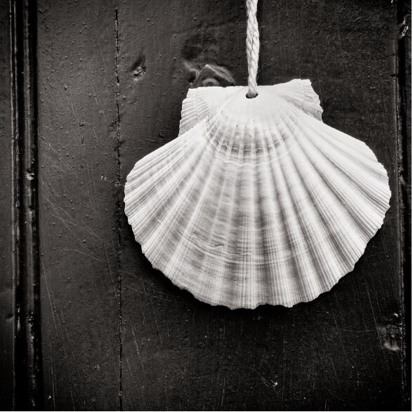 shell_print proof.JPG