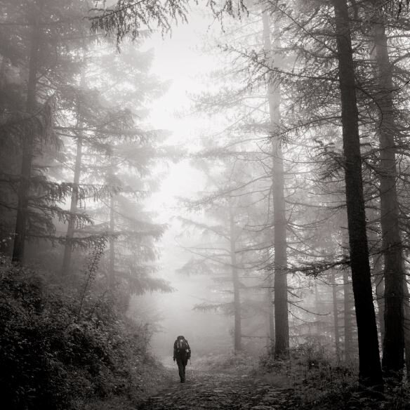 padraig & forest_print proof.JPG