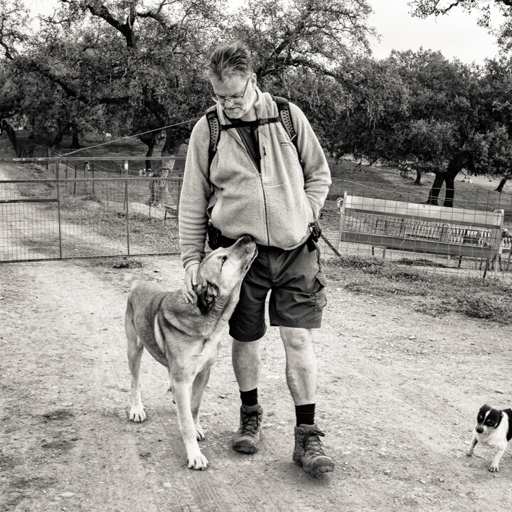 Trust and the Camino